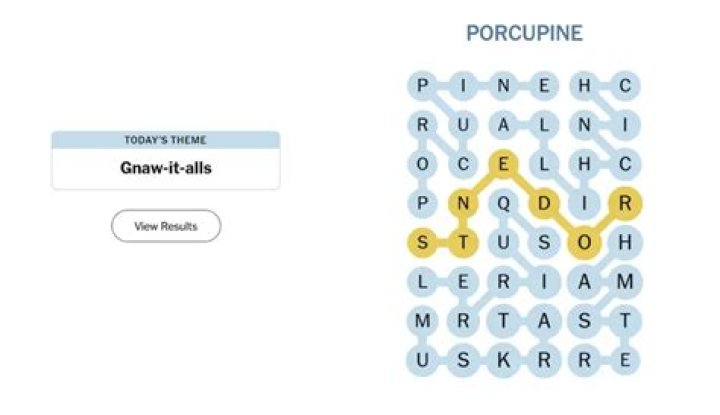 Asian capital on a river of the same name crossword clue NYT