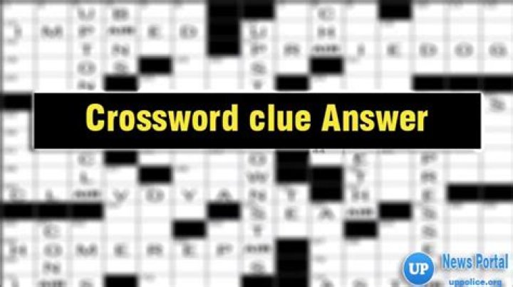 Bit of dust crossword clue NYT