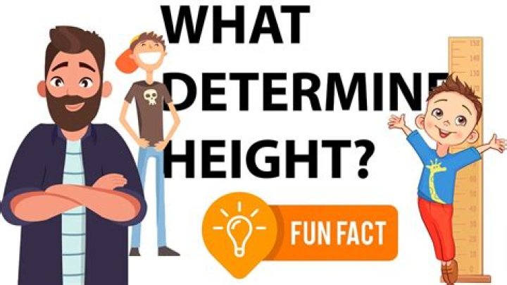 Exploring Height, Age, Relationships, And Education