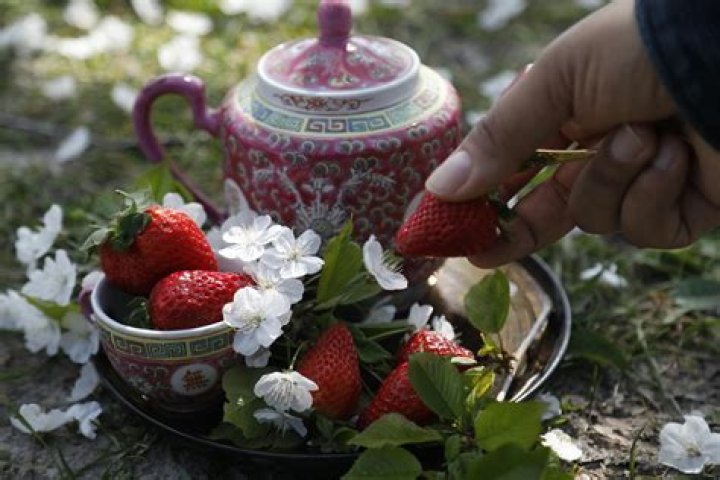 Exploring The Age Of Shirley Strawberry