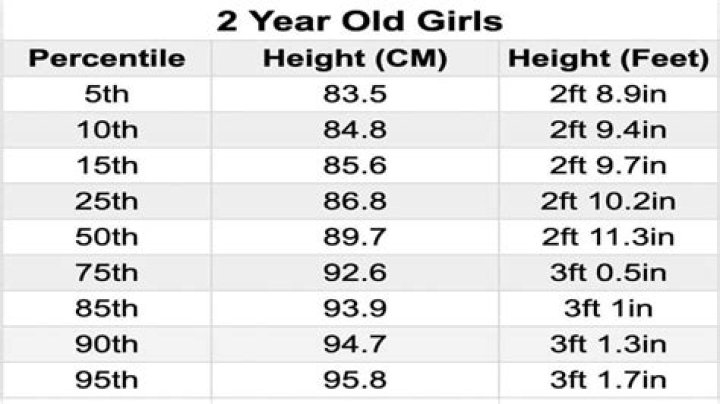 How Tall Is Charity Bachelorette? The Exact Height Measurement
