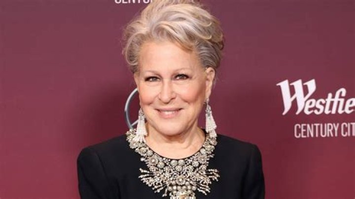 In praise of Bette Midler and her tailored face at 77