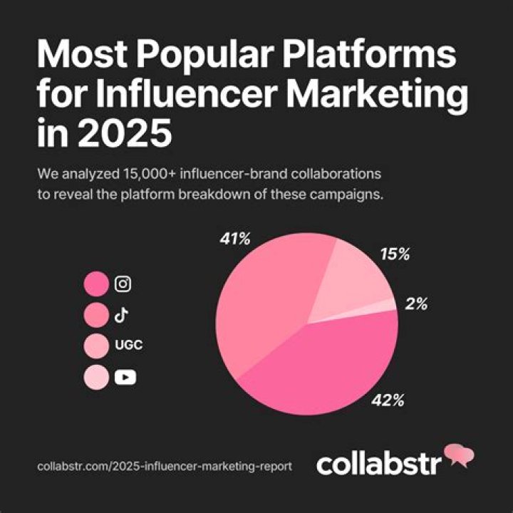 Unveiling The Financial Success Of The Influencer