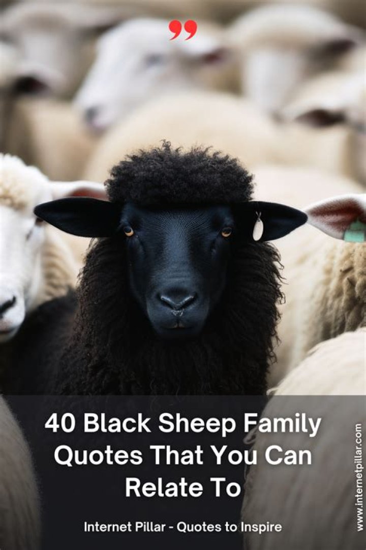Unveiling The Wisdom And Strength Of Black Sheep Family Quotes