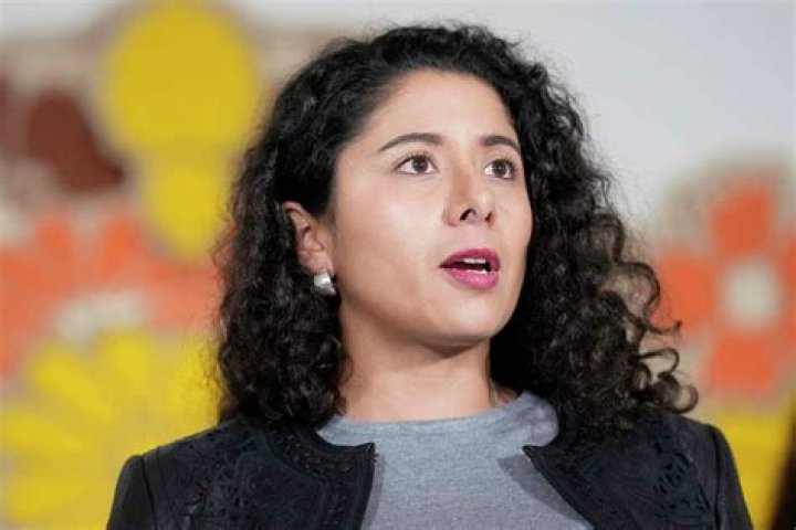 What Is Harris County Judge Lina Hidalgo Salary? Everything On Her Husband And Married Life ·